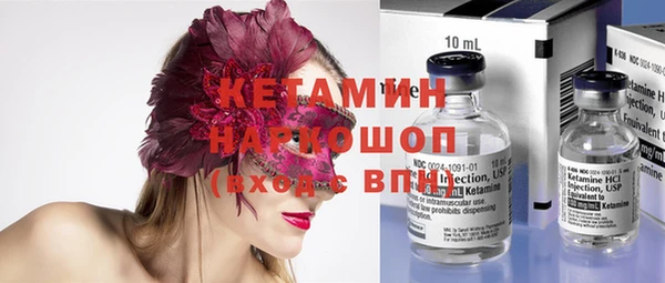 индика Богородицк
