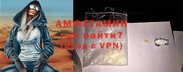 индика Богородицк