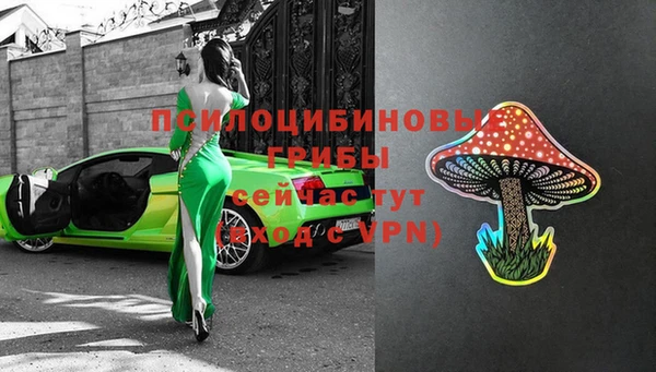 таблы Богородск