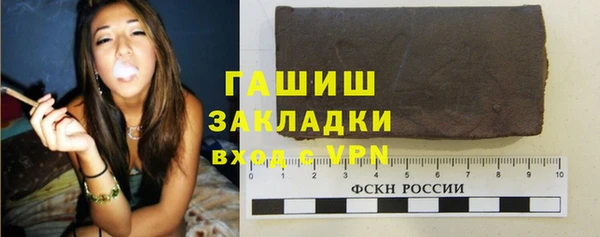 индика Богородицк