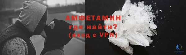 индика Богородицк