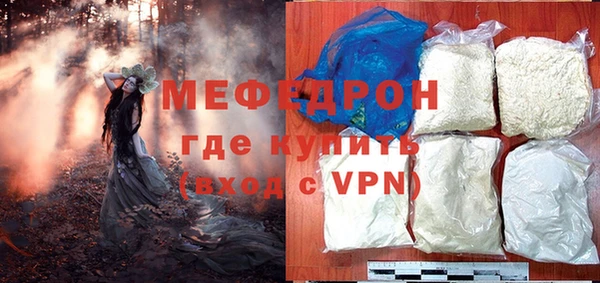 индика Богородицк