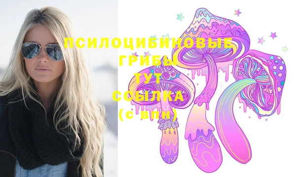 индика Богородицк