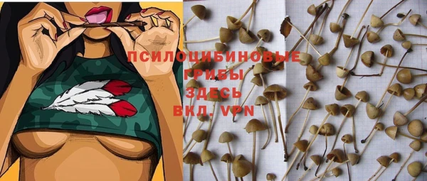 спайс Белоозёрский