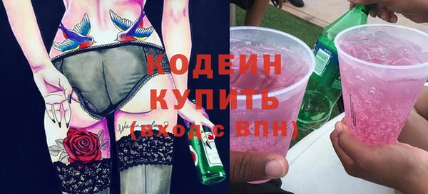 индика Богородицк