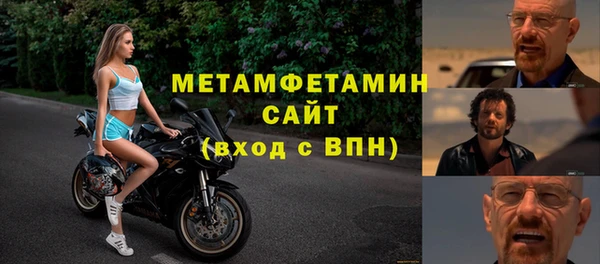 индика Богородицк