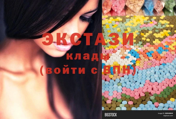 индика Богородицк