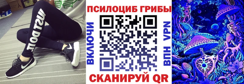 Псилоцибиновые грибы Psilocybine cubensis  Красноярск 
